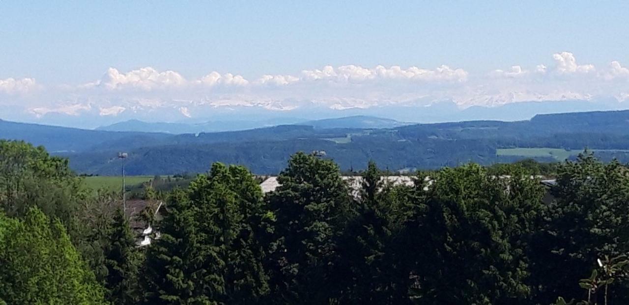 Landhotel Panoramablick Gorwihl 外观 照片